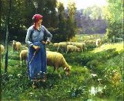 unknow artist Sheep 151 oil painting on canvas